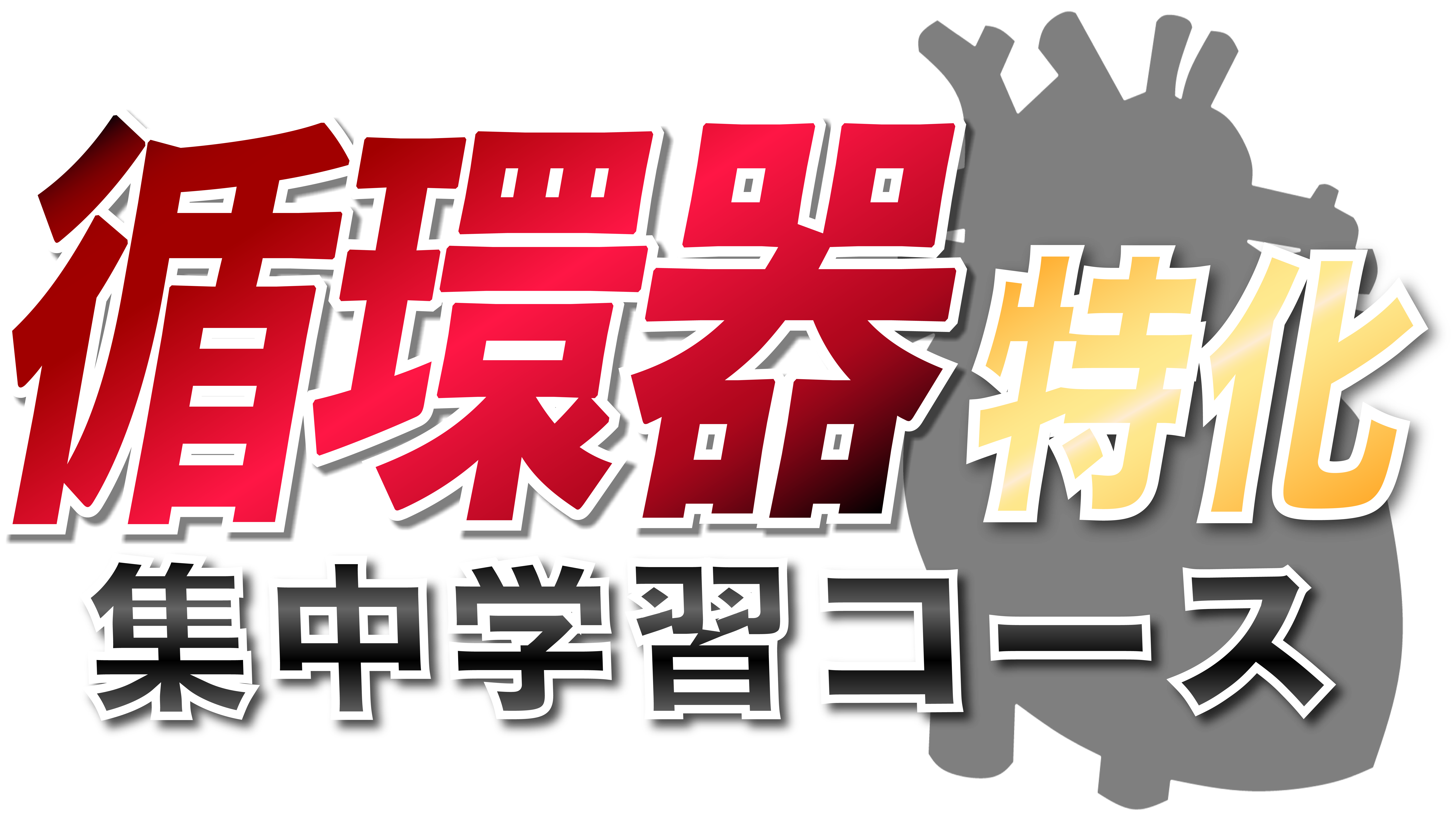 循環器特化集中学習コース archives